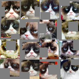 Processed 1